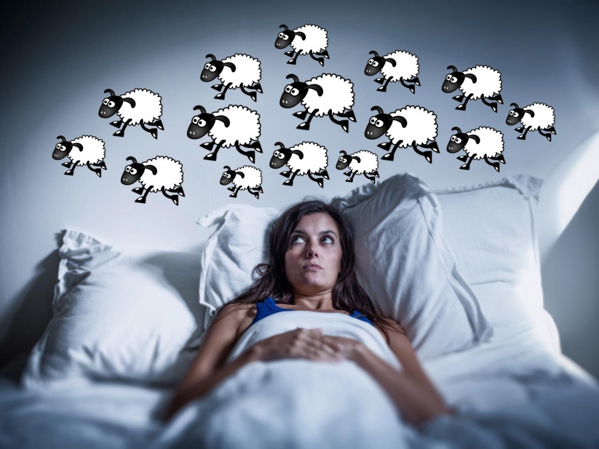 L’Insomnie Comprendre et Surmonter les Nuits Blanches Christiano Btf — free download